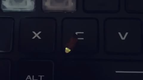🤯✨ This Backlit Key Looks Alive & Mesmerizing! | FeedMyCuriosity