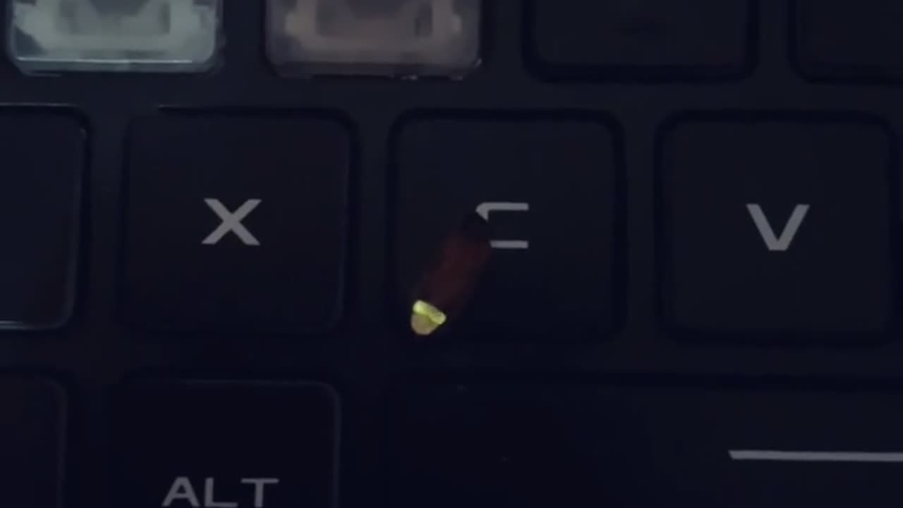 🤯✨ This Backlit Key Looks Alive & Mesmerizing! | FeedMyCuriosity