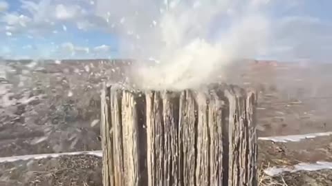 The best of Nature will blow you away. Regenerative Grassroots Skin Therapy. purelycarecompany.com