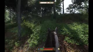 Kingdom Come Deliverance II