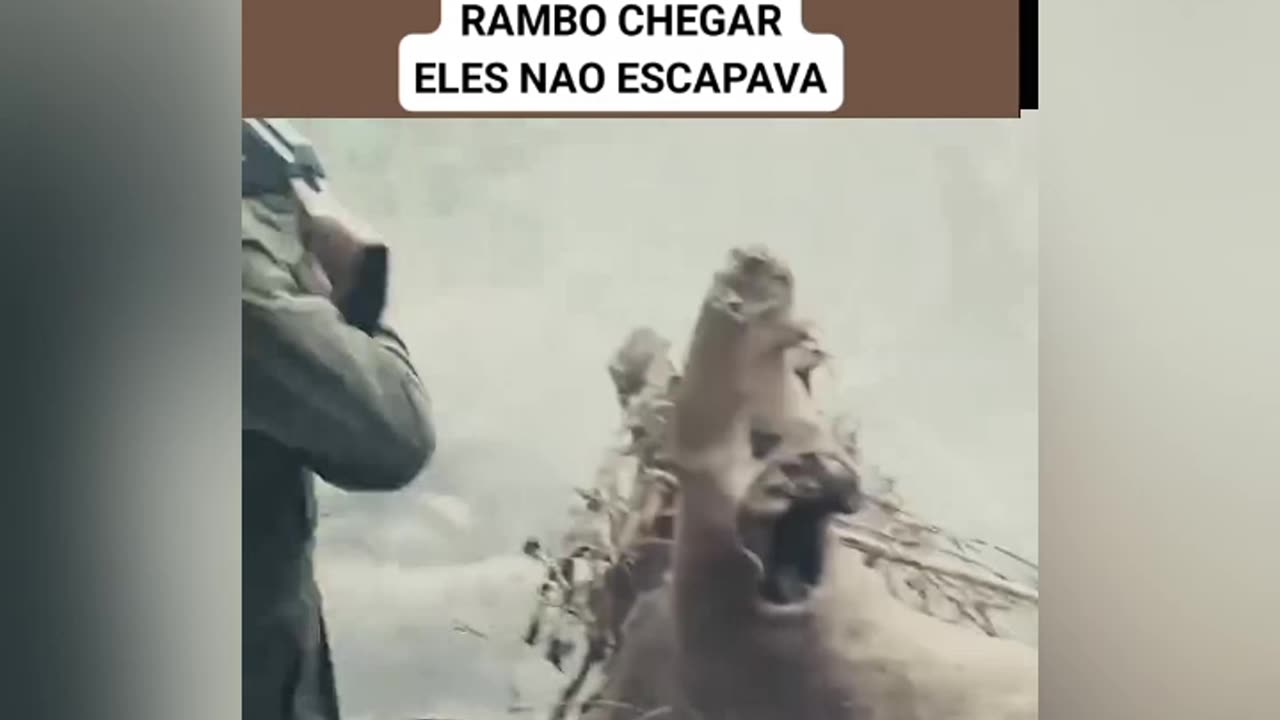 Rambo 4 mete o loko