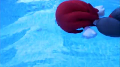Sonic, Tails, and Knuckles Go Swimming