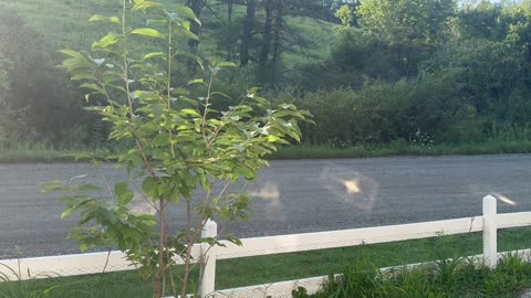 Timing: Sun Reflecting Off The Window 🪟