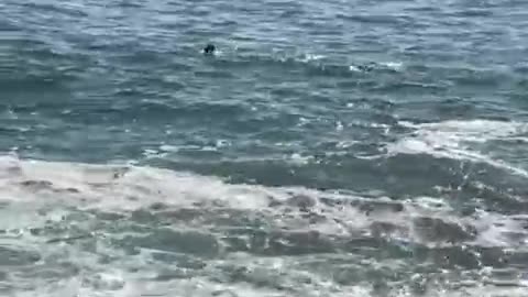 Swimming Day Taghazout Beach Morocco