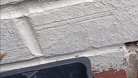 Stop Ants From Getting In Your Home