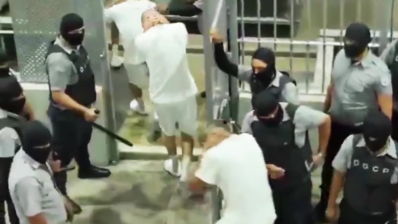 MOOOOOOOOOOOOOOOOORE!!!