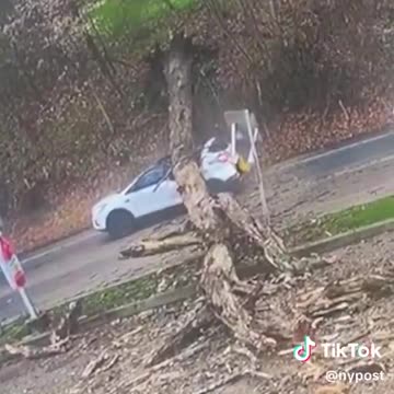 Thankfully Nobody Was in the Back Seat