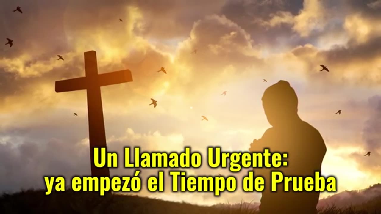 Lo que la Virgen Reveló en Litmanová… y el Vaticano Censuró