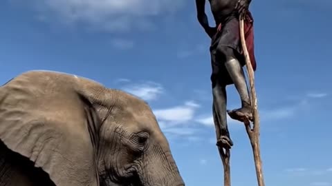 Stick Walking Man and Ele