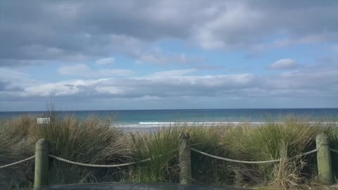 We Are The Free- (song only)- We Are The Free - Musical Reality Stage Show