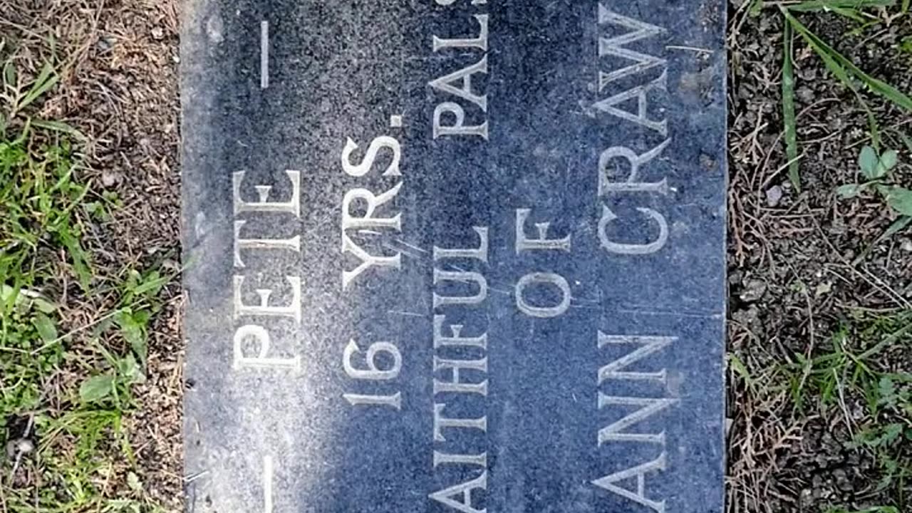 FAMOUS GRAVES - VOL. 588: PETE THE PUP