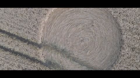 Lever de soleil sur Hackpen Hill au-dessus de Crop Circle 23/6/2025