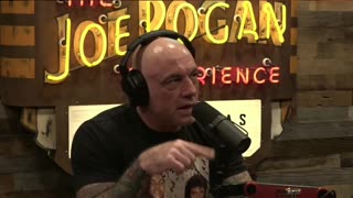 AI's Chilling Survival Tactics - David Kipping and Joe Rogan #survivalinstincts #aisurvival