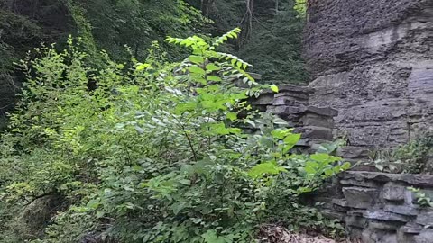 Treman State Park Gorge Trail Waterfall