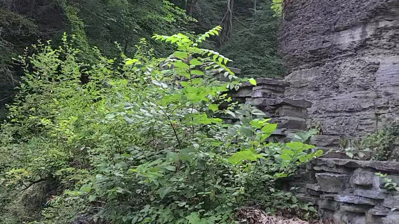 Treman State Park Gorge Trail Waterfall