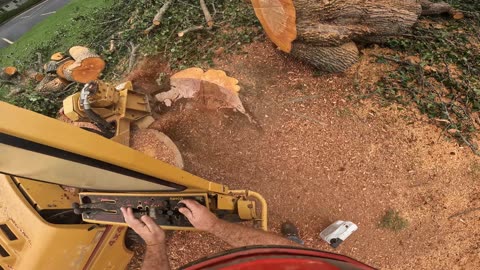 Doing a Stump Grinding job for Huntsville Hospital