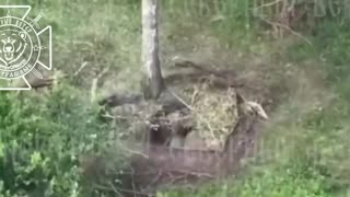 💥🛸 Ukraine Russia War | Fiber-Optic Drone Eliminates Ukrainian Mortar | RCF