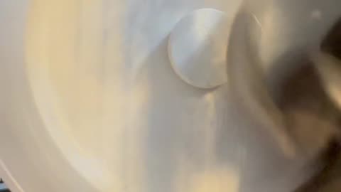 Baby Squirrels Extreme Sports Wheel