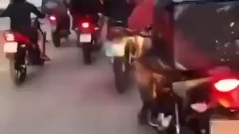 Customer Attacks Delivery Guy – Gets Surrounded by His Colleagues in Intense Showdown!