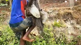 Popular Net Fishing