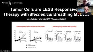 Human Organ Chips - From experimental models to clinical mimicry - Wyss Inst.