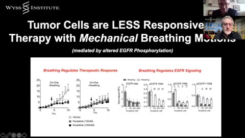 Human Organ Chips - From experimental models to clinical mimicry - Wyss Inst.