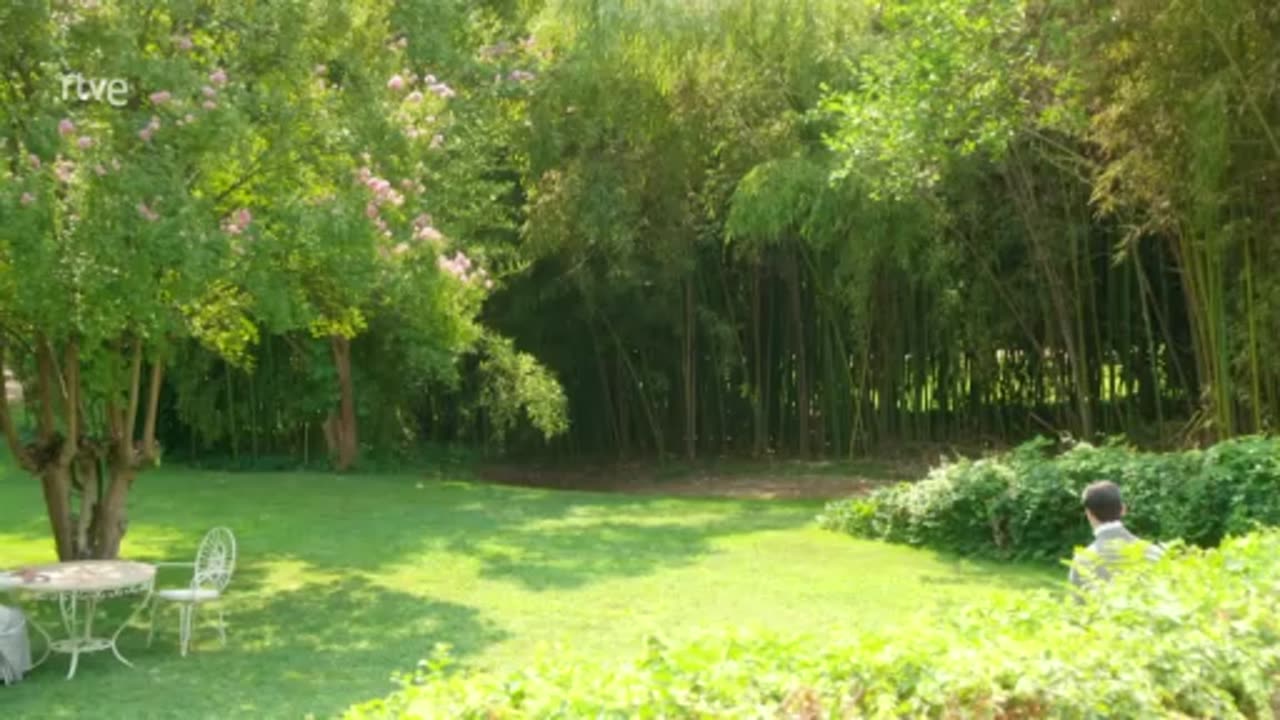 La Promesa - Capítulo 699 parte 3