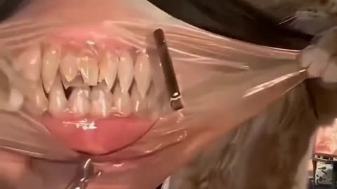 “When a Cat Goes Savage… Face Destroyed!”