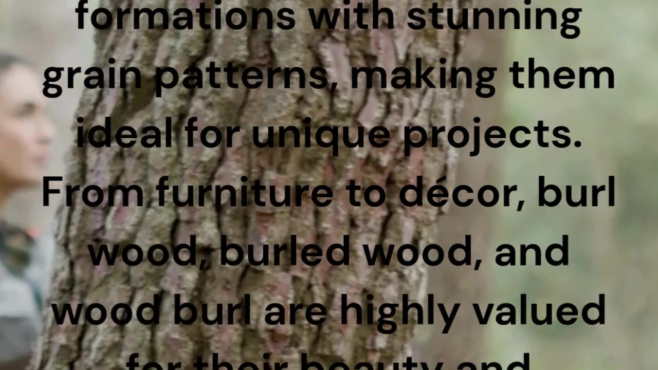 Burls – Unique & Artistic Wood