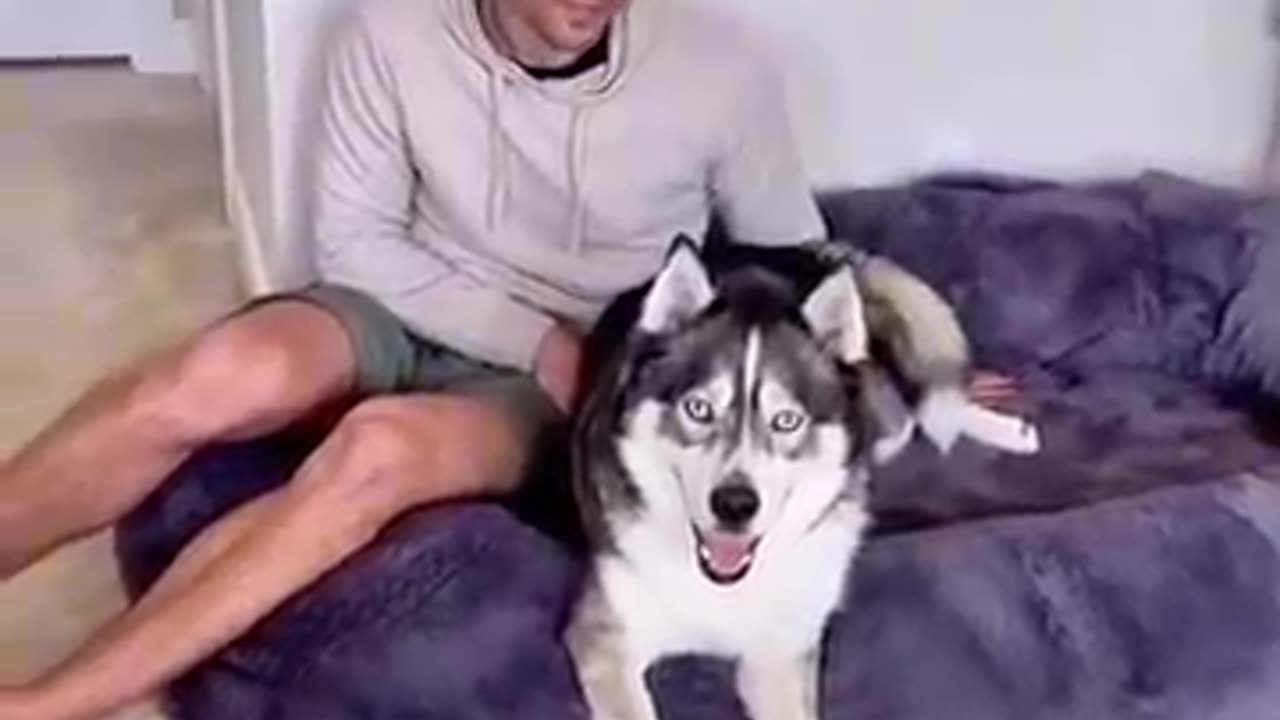 Get out of my bed!