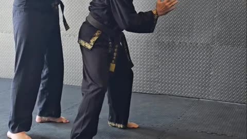 Hapkido