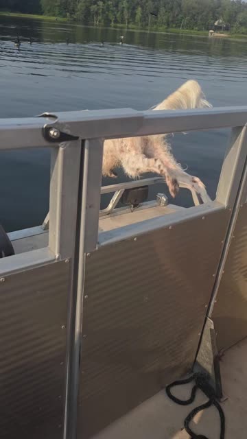 The Day Gretchey Went for a Swim Without Permission!