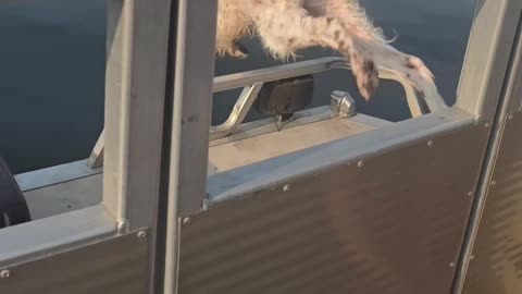 The Day Gretchey Went for a Swim Without Permission!