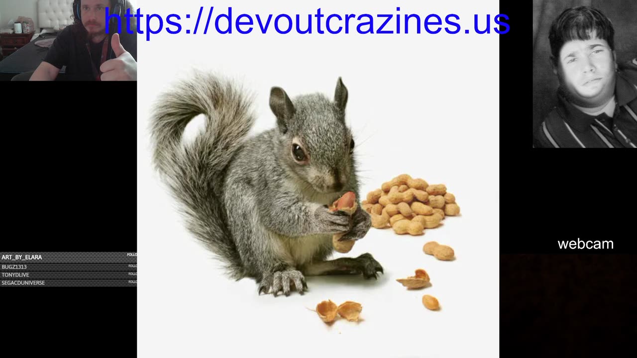 Massachusetts rap the nut supplier