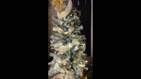 Our Outdoor Christmas Decorations 2025