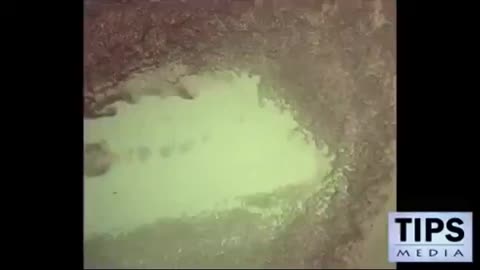 Dr. Flemming Testifies Under Oath Of Perjury That They Created Covid As A Bioweapon 27-07-2022