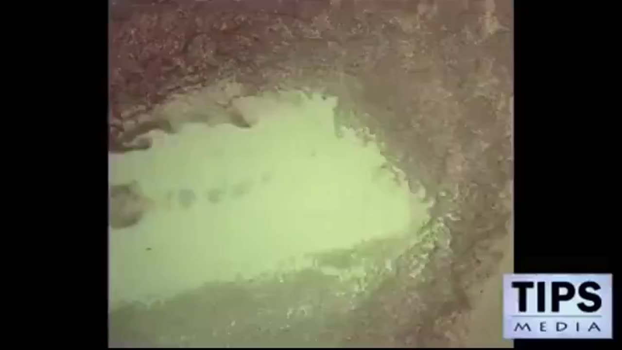 Dr. Flemming Testifies Under Oath Of Perjury That They Created Covid As A Bioweapon 27-07-2022