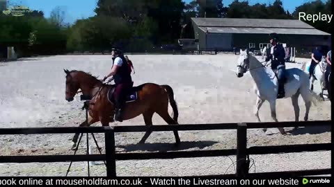Mousehold Farm All Weather Riding arena
