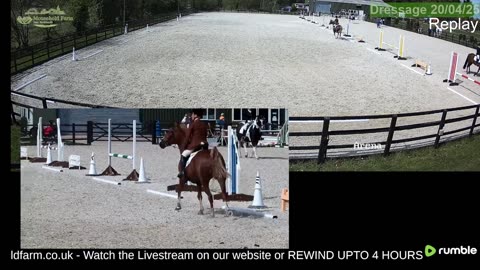 Mousehold Farm All Weather Riding arena
