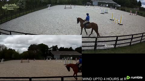 Mousehold Farm All Weather Riding arena