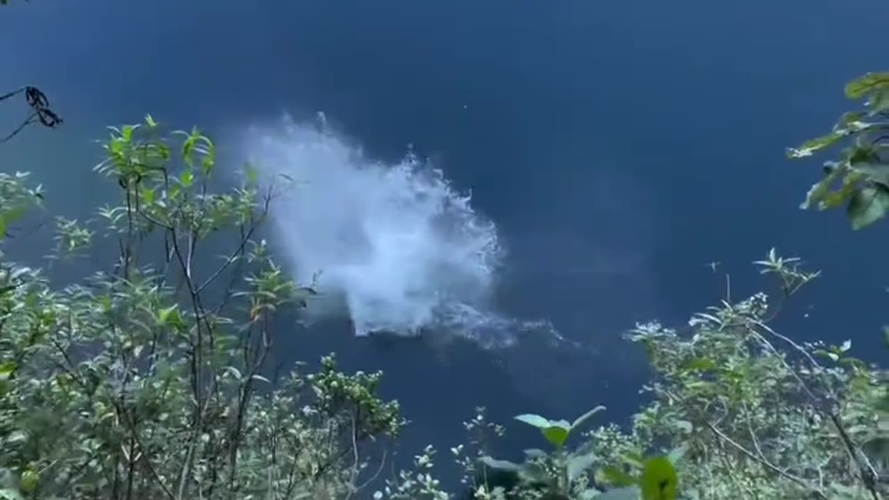 Lets try some Crazy stunts