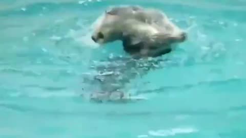 😊