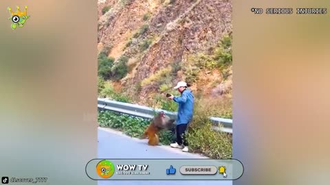 When Animals Go On A Rampage And Got Caught On Camera !