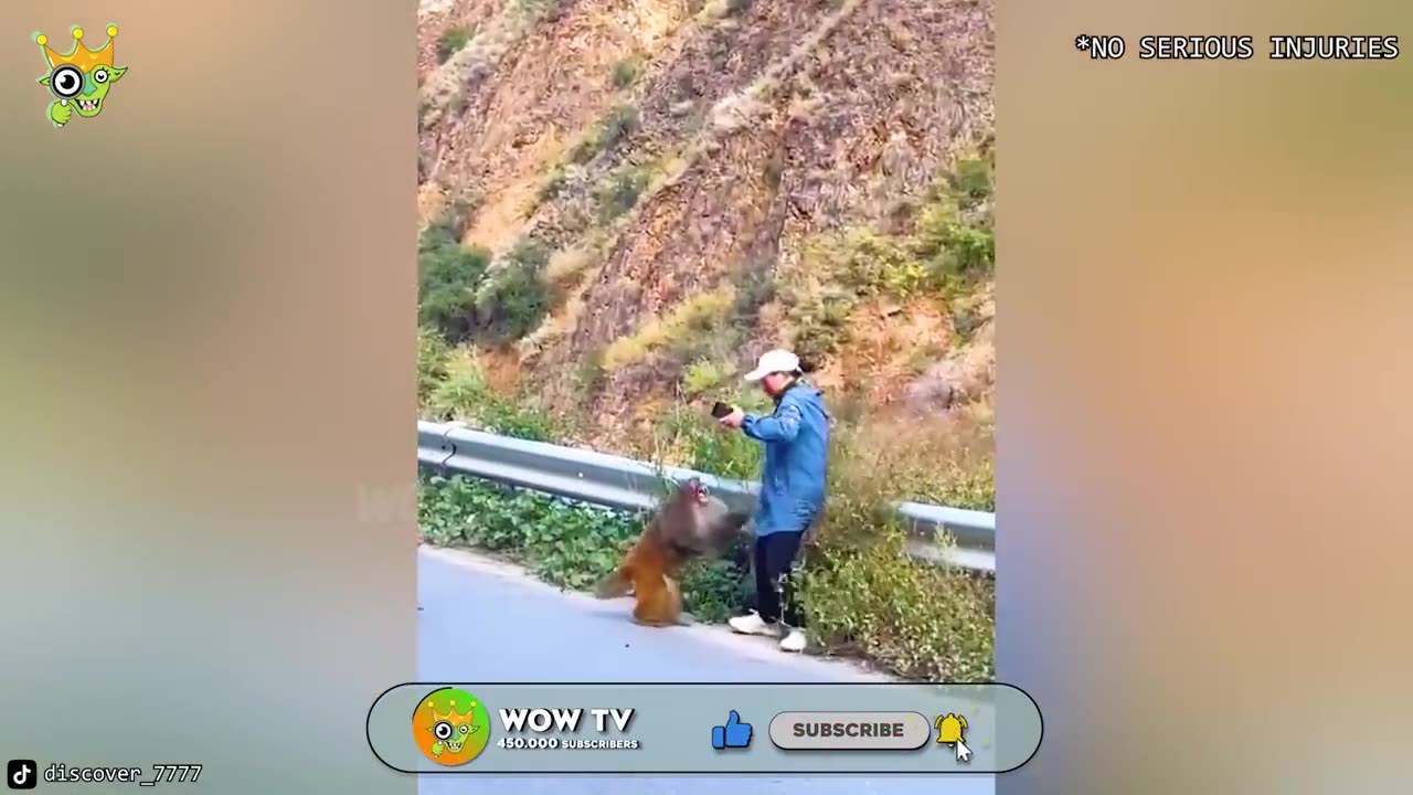 When Animals Go On A Rampage And Got Caught On Camera !