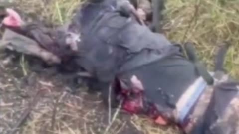 Ukrainian soldier