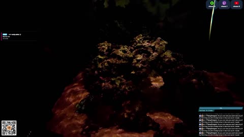 24/7 Real Live Reef Stream