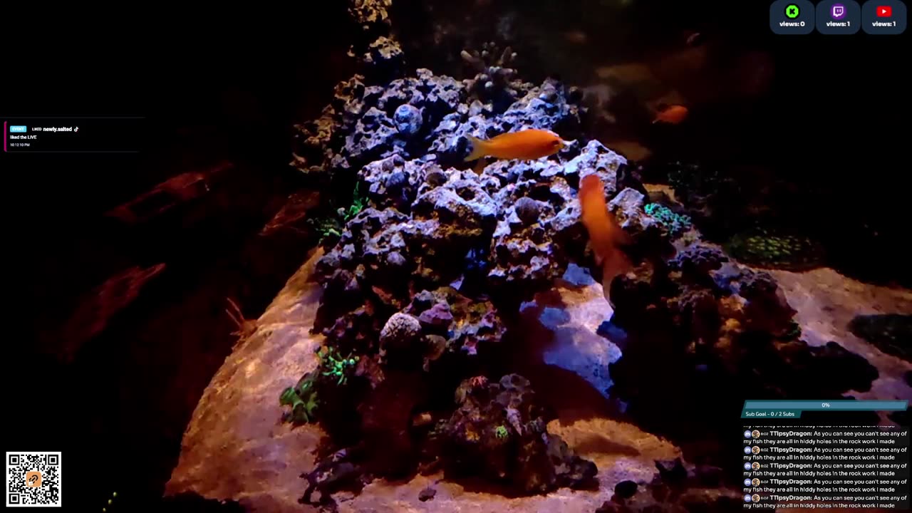 24/7 Real Live Reef Stream