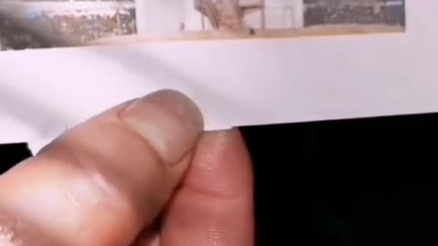 Tim Rifat TikTok Videos