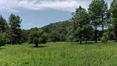RELAX WITH FEEL IN MOUNTAINS AND TREES