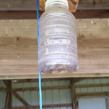Homemade Carpenter Bee Trap - 10 May 2022
